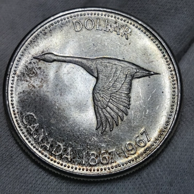 1 dollar 1967 pret