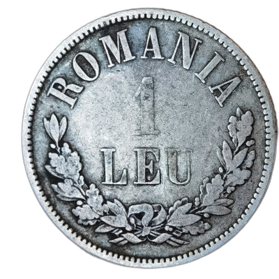 1 leu 1873 pret