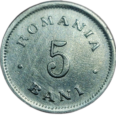 5 bani 1900